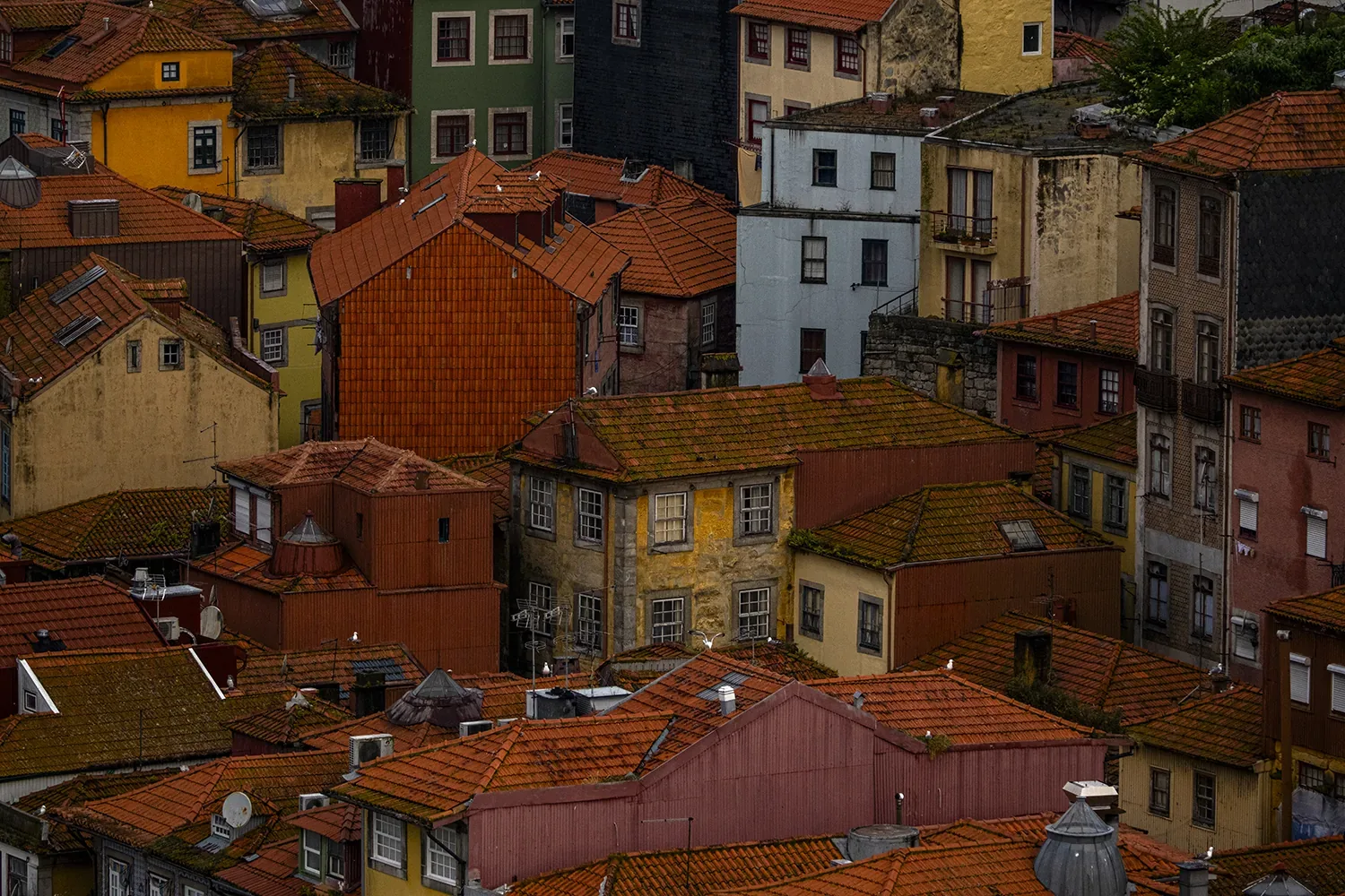 Telhados vermelhos do casco antigo do Porto vistos de cima entre fachadas coloridas